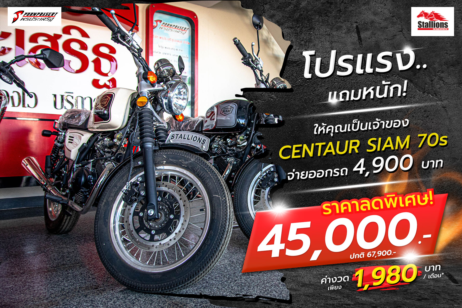 Stallion Centaur Siam 70's
